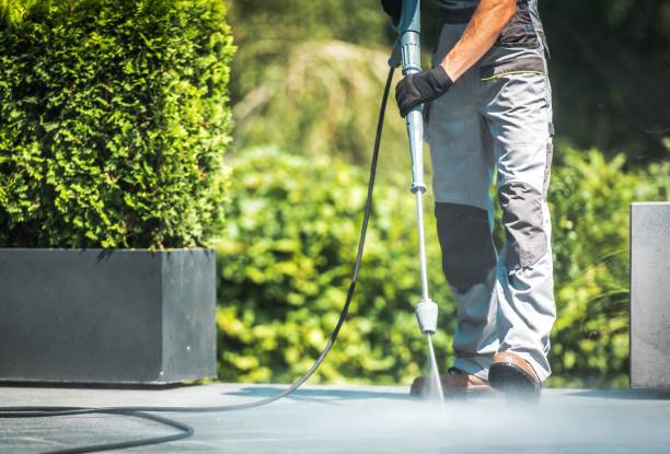 Best Roof Washing  in Hamlet, IN