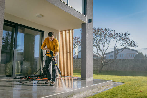 Best Solar Panel Cleaning  in Hamlet, IN